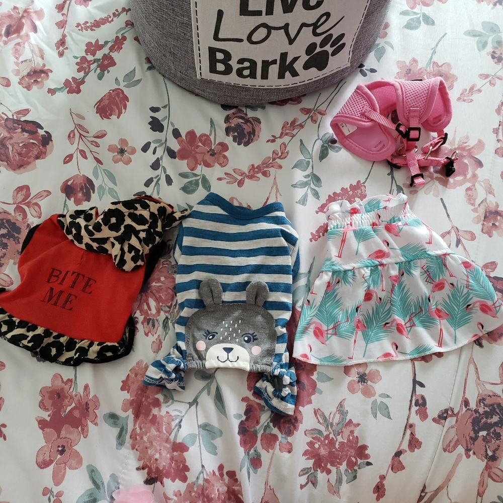 Puppy Clothing (Girl)